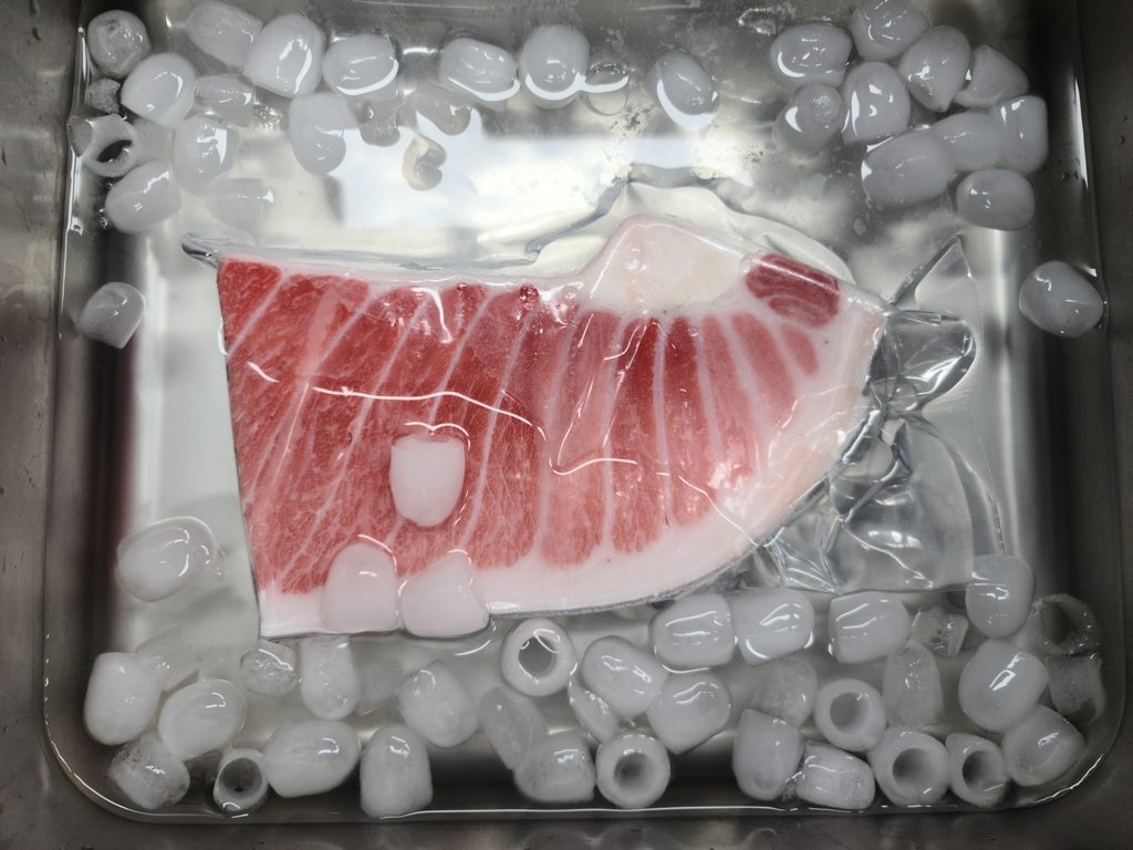 방수팩에 밀봉해 얼음물에 침지 해동 중인 참치